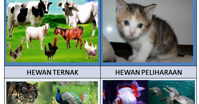 Contoh Karya Montase